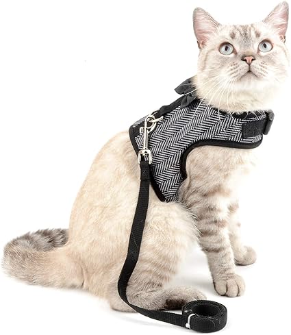 Ranphy Harnais Et Laisse Anti Traction Pour Petit Chien