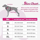 rabbitgoo Small Dog Harness No Pull Reflective Rose Red Easy Control Handle view 2