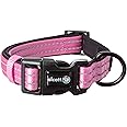 alcott Adventure Dog Collar with Reflective Stitching & Neoprene Padding, Medium, Pink