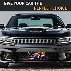 American Flag and Ecuador Flag License Plates for