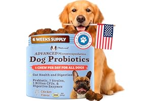 Natural Dog Company Gut Health & Canine Specific Probiotics Chews, 1 Daily Chew for All Dogs, Prebiotics & Digestive Enzymes for Digestion, Gas, Loose Stool, Immune System & Bowel Support