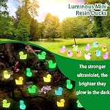 JOLCEEY 120pcs Mini Ducks Glow in the Dark Resin Tiny Ducks Aquarium Dollhouse view 3