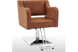 BarberPub Classic Salon Chair for Hair Stylist,Hydraulic Barber Styling Chair,Beauty Salon Spa Equipment 3802 (Brown)