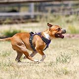 PoyPet No Pull Dog Harness Reflective Adjustable Easy Control Handle Purple S view 8