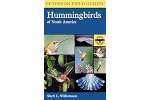 A Peterson Field Guide To Hummingbirds Of North America