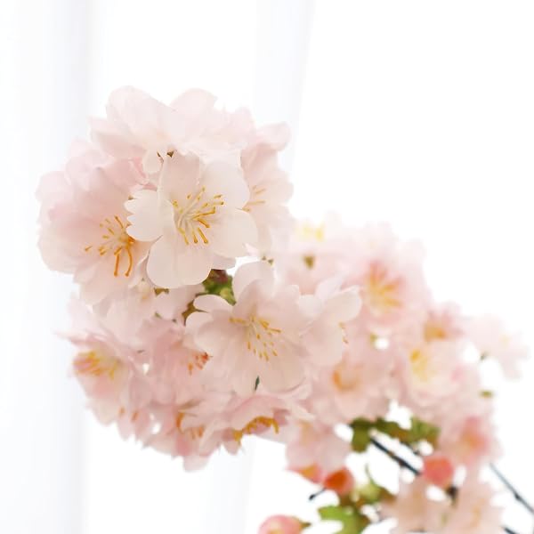 SENJIE ARTIFICIAL CHERRY BLOSSOM BRANCHES, FAKE FLOWERS BOUQUET WITH REAL TOUCH LONG STEMS, FAUX SILK FLOWERS FOR VASES WEDDING PARTY TABLE CENTERPIECES SPRING HOME DECOR (3PCS, VASE NOT INCLUDED)