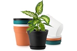Monoture 8Pack 6in Plant Pots with Drainage Holes and Tray,Flower Pots for Indoor Plants Home Decor,Planters for Indoor Plants-Monstera、Aloe、Cactus,Nursery Plastic Plant Pot for Planting Mixed Color
