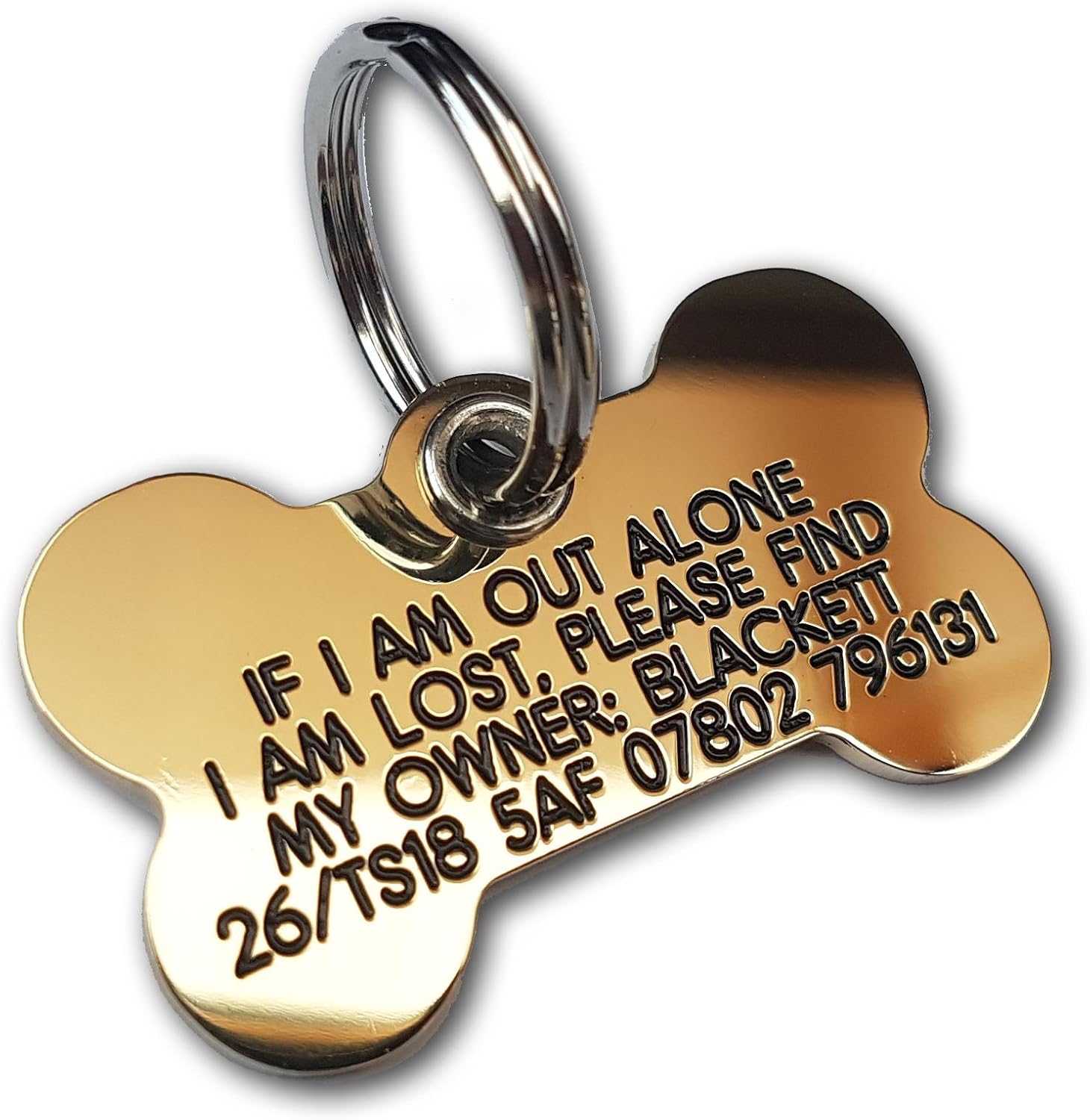 brass pet tag
