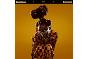 Sometimes I Might Be Introvert (Vinyl)