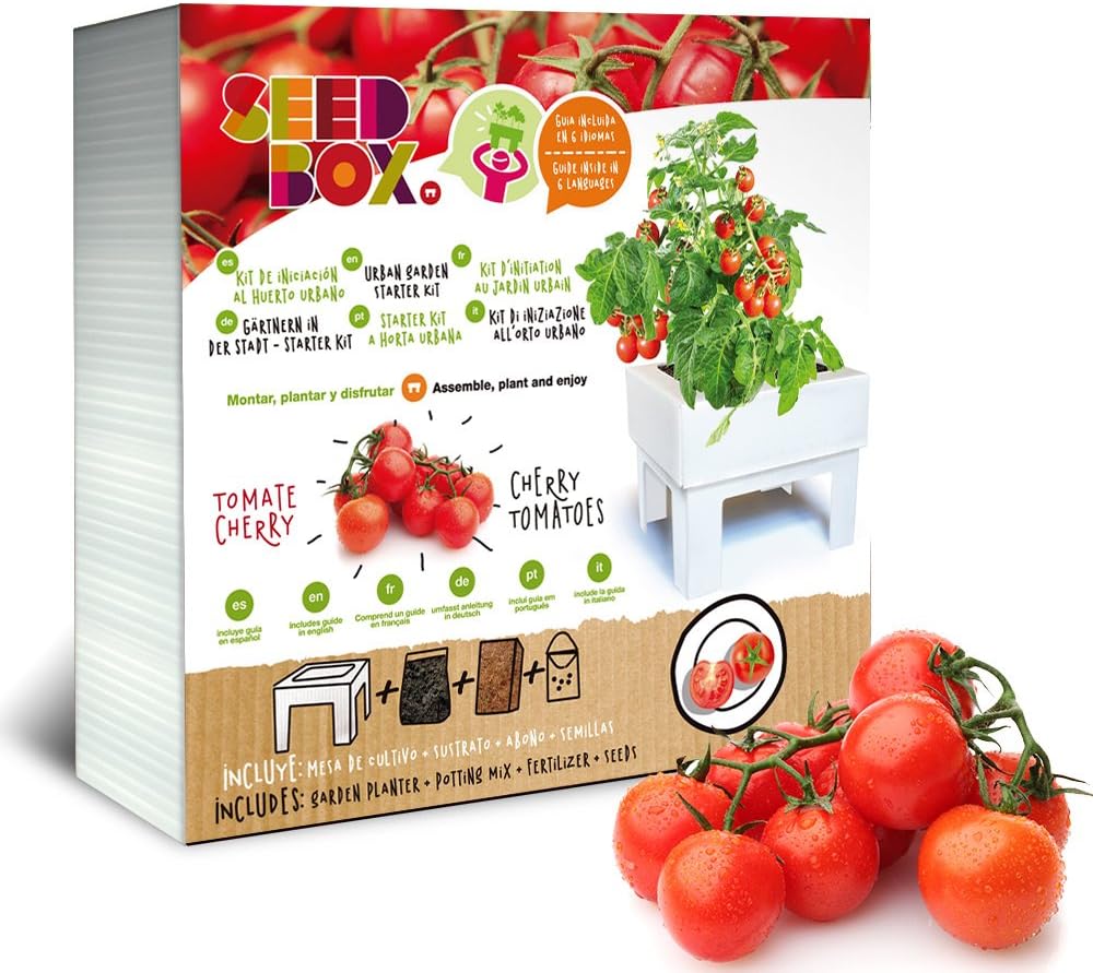 SeedBox SBCUTC - Huerto Urbano de Tomates Cherry: Amazon.es: Jardín