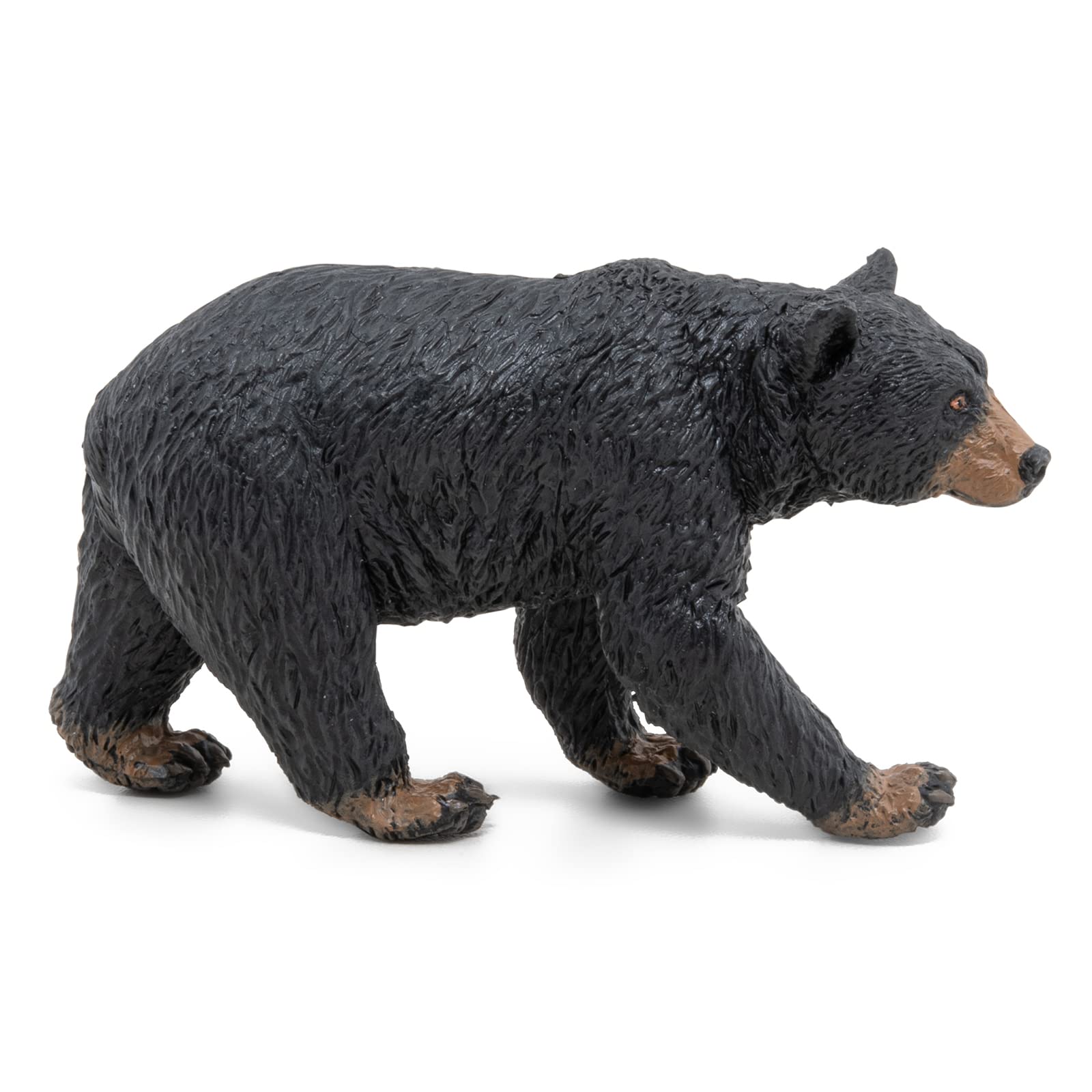 Papo - Realistic Black Bear Figure - Ages 3+ - Wild Life Collection - Educational Play Forest Animals - Gift Idea Toy for Girls and Boys