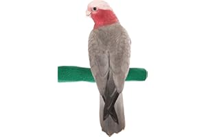 Sweet Feet and Beak Comfort Grip Safety Perch for Bird Cages - Pedicure Perch for Birds to Keep Nails and Beaks in Top Condition - Safe Easy to Install Bird Cage Accessories - M 8.5"