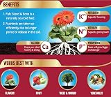 Westland Fish Blood and Bone All Purpose Plant Food 4 kg Natural view 2
