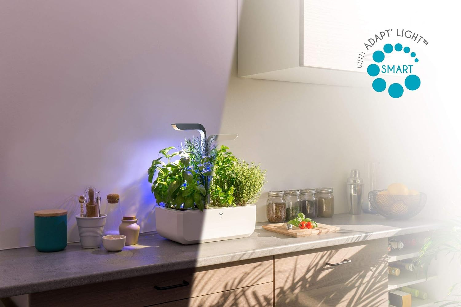 Véritable® Connect (versión Moonlight Gold) - Huerta interior Made ...