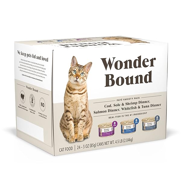 AMAZON BRAND – WONDER BOUND WET CAT FOOD,...