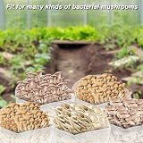 ZYLLZY 20Pcs Transparent Mushroom Grow Bags, 32x65cm, Autoclavable view 2