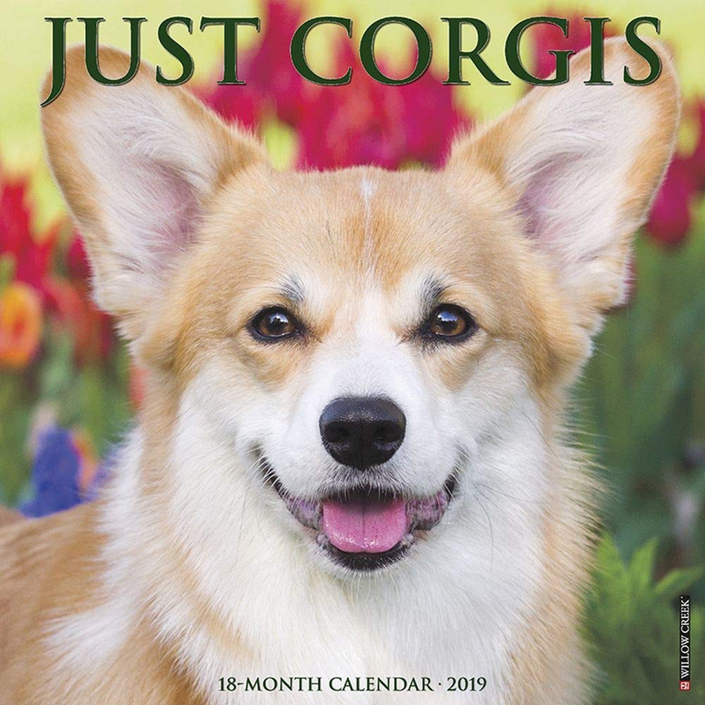 Just Corgis 2019 Wall Calendar (Dog Breed Calendar)
