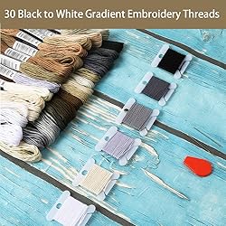 Pllieay 30 Skeins Friendship Bracelets Floss, Black