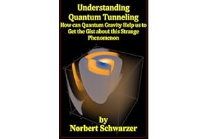 Understanding Quantum Tunneling : How can Quantum Gravity Help us to Get the Gist about this Strange Phenomenon