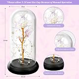 GARELF Eternal Rose Flower in Glass Dome - Romantic Gift for Her view 2