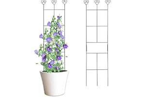 HENSAL 2 Pack 30'' Plant Trellis for Climbing Plants Indoors, Metal Garden Trellis for Potted Houseplant, Rustproof Plant Support for Ivy, Vines, Pothos, Hoya and Flower, Black