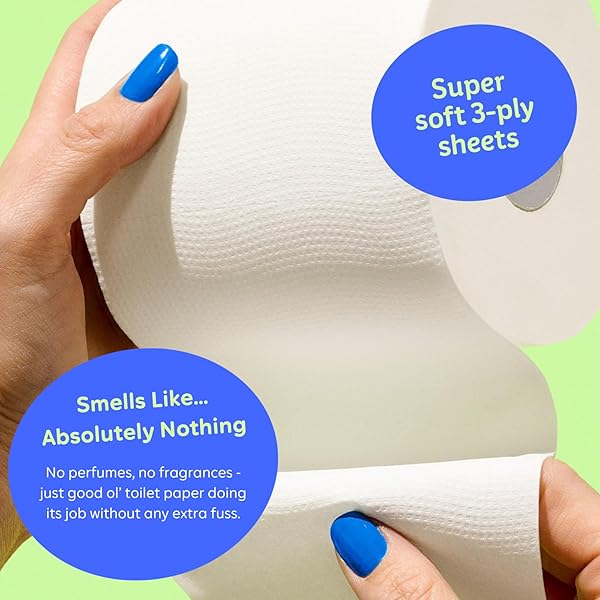 WHO GIVES A CRAP | 100% RECYCLED TOILET PAPER, 16 ROLLS, 330 SHEETS, BIODEGRADABLE & ECOFRIENDLY, SOFT & STRONG, VIRGIN TREE FREE, BULK TOILET PAPER