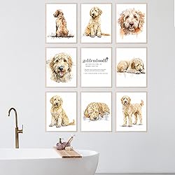 BigWig Prints Golden Doodle Wall Decor