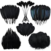 180 PCS Black Feathers for Crafts 6 Style Mixed Craft Feathers Bulk | Small Natural Feathers for Crafting DIY Earring Wedding Jewelry Making Home Party Halloween Easter Costumes Hats Decoration