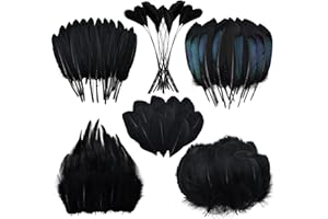 DAIEEPARTY Black Craft Feathers Bulk - 180pcs 6 Style Mixed Natural Feathers for Wedding Home Party,Dream Catcher Supplies and DIY Crafts (Black)