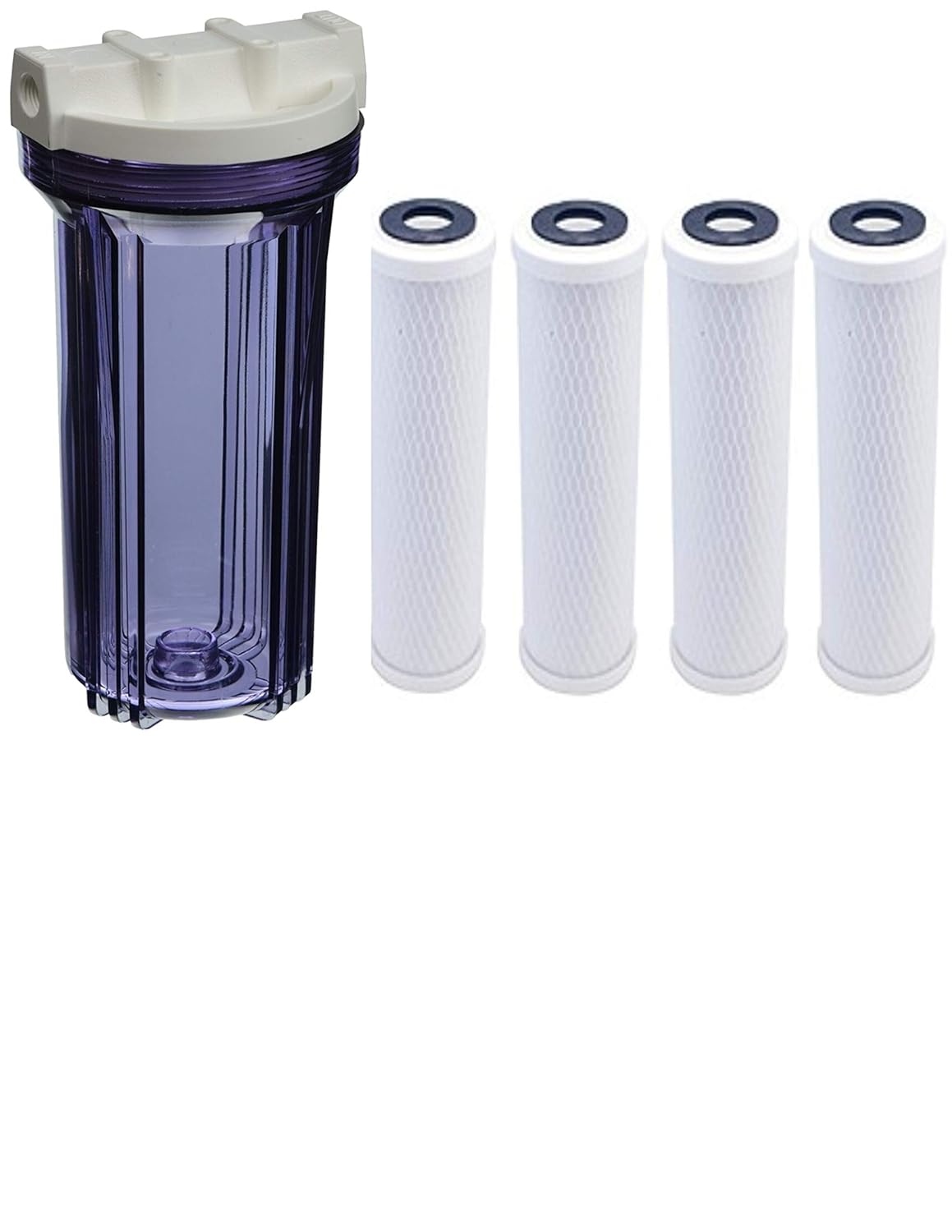 Which Is The Best Forest River Water Filter