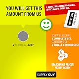 Supply Guy Canon CLI-551 GY Grey Ink Cartridges 5x13ml with Chip view 3