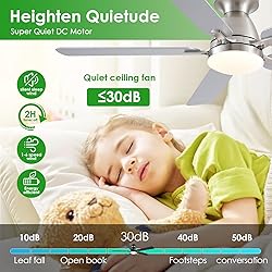 Ceiling Fans with Lights, 56" Flush Mount Ceiling