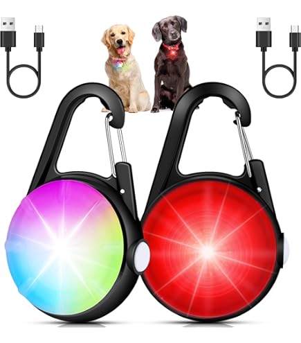 1 Lot De 4 Lumières LED Rechargeables Pour Collier De Chien