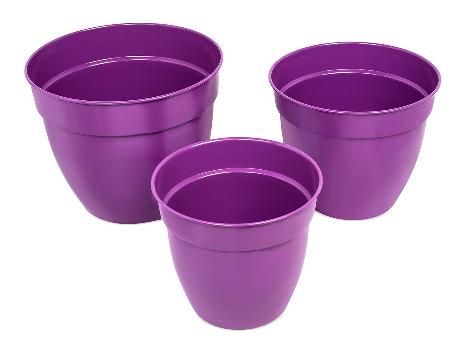 Best Birdrock Home Oval Hook Coat And Hat Rack 2 Hooks