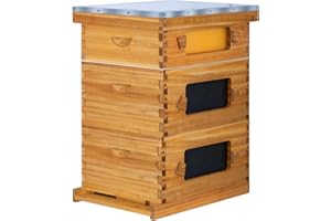ThxBees 10 Frame Bee Hive Starter Kit with Windows, Beeswax Coated Langstroth Bee Hives Boxes for Beekeepers with Beehive Frames and Waxed Foundations (2 Deep Brood Bee Box & 1 Medium Super Box)