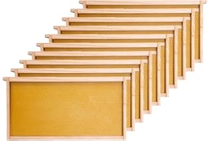 Honey Lake Deep Beehive Frames and Foundations Kit, 10 Pack Brood Wooden Frames and Natural Beeswax Dipped Plastic Foundation for Beekeeping