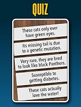 Smart Cards Cats 7 Games in 1 Travel Card Game 1-8 Players Gift view 9