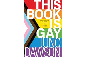 This Book Is Gay