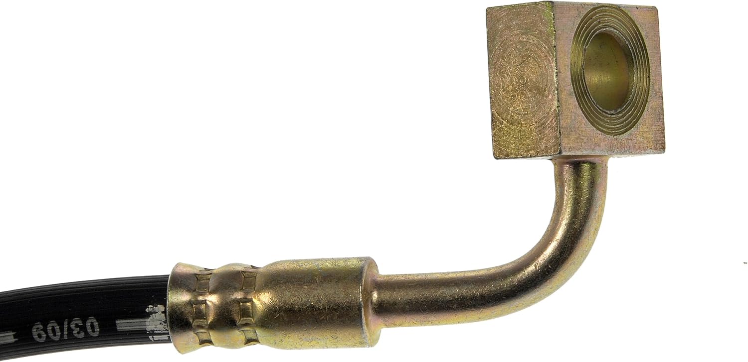 Dorman