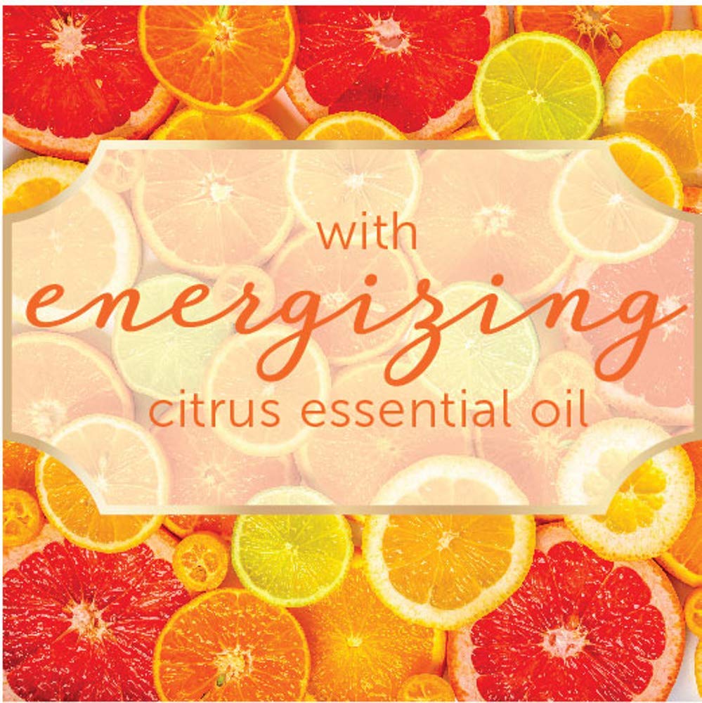 Jergens Sweet Citrus Body Butter Moisturizer, 7 Ounce Lotion, with Essential Oil, for Indulgent Moisturization : Beauty
