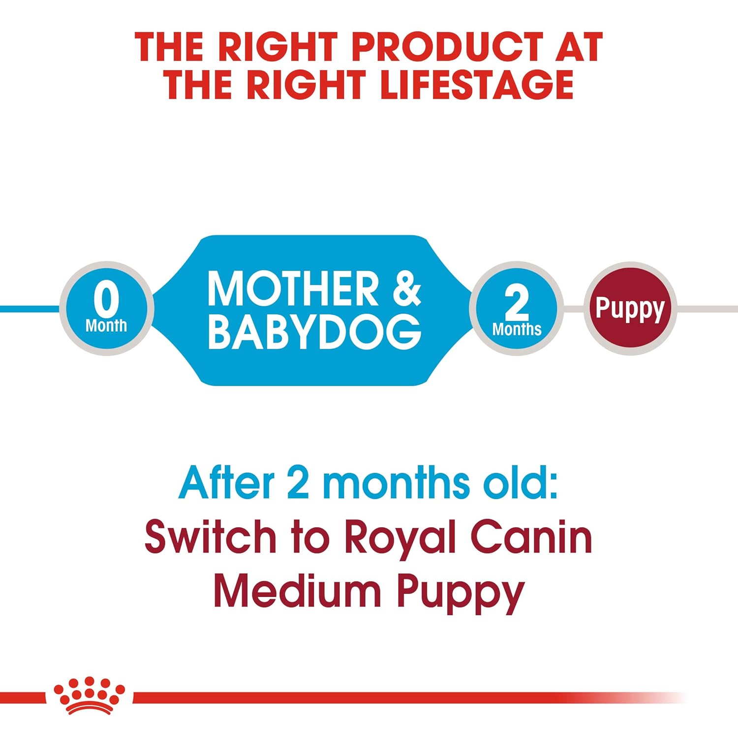 royal canin medium starter 12 kg
