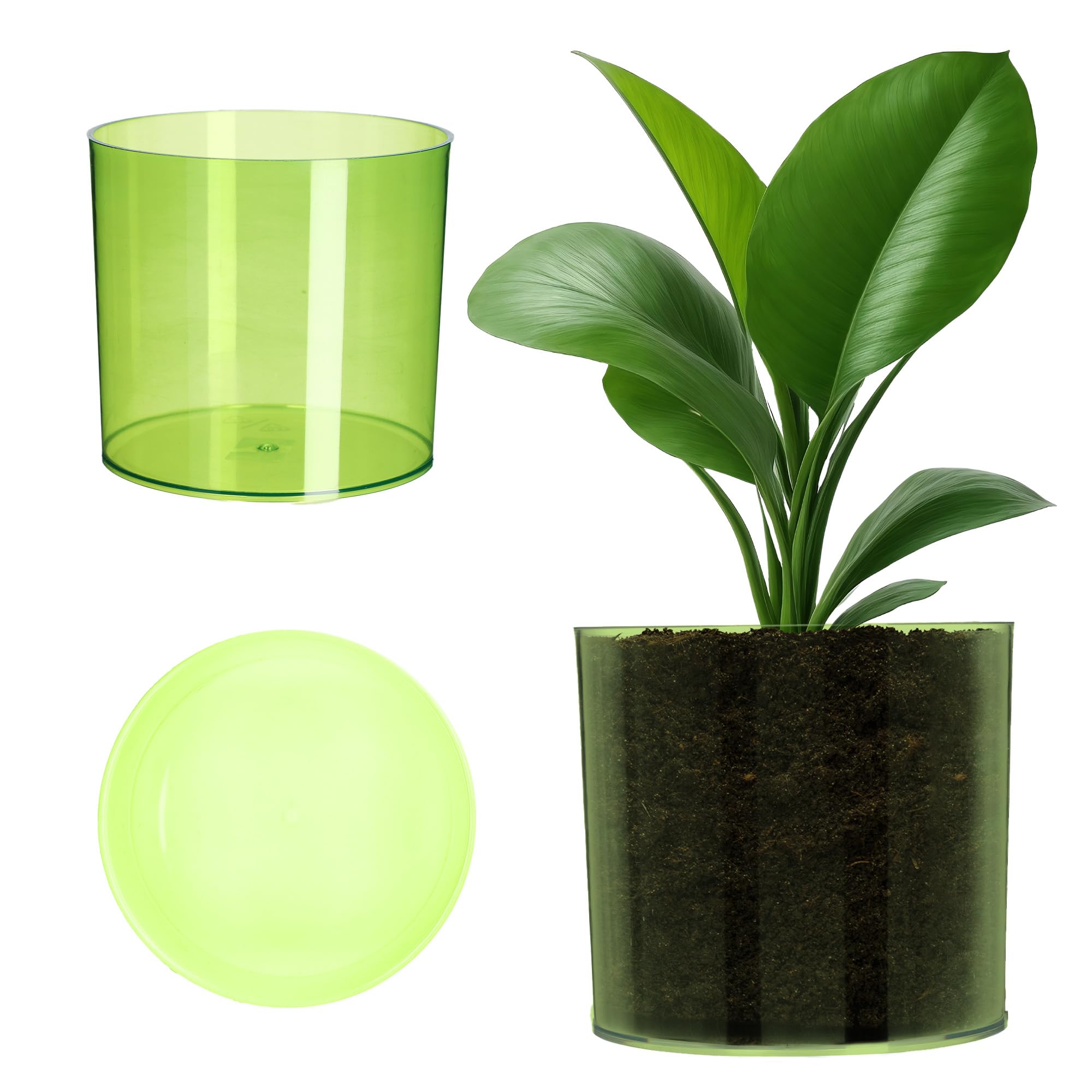 KADAX 13 Colours Plastic Flower Pot - Shiny Flower Pot - Cylindrical Shape - Herb Pot - Flower Pot - Diameter 5" - Green