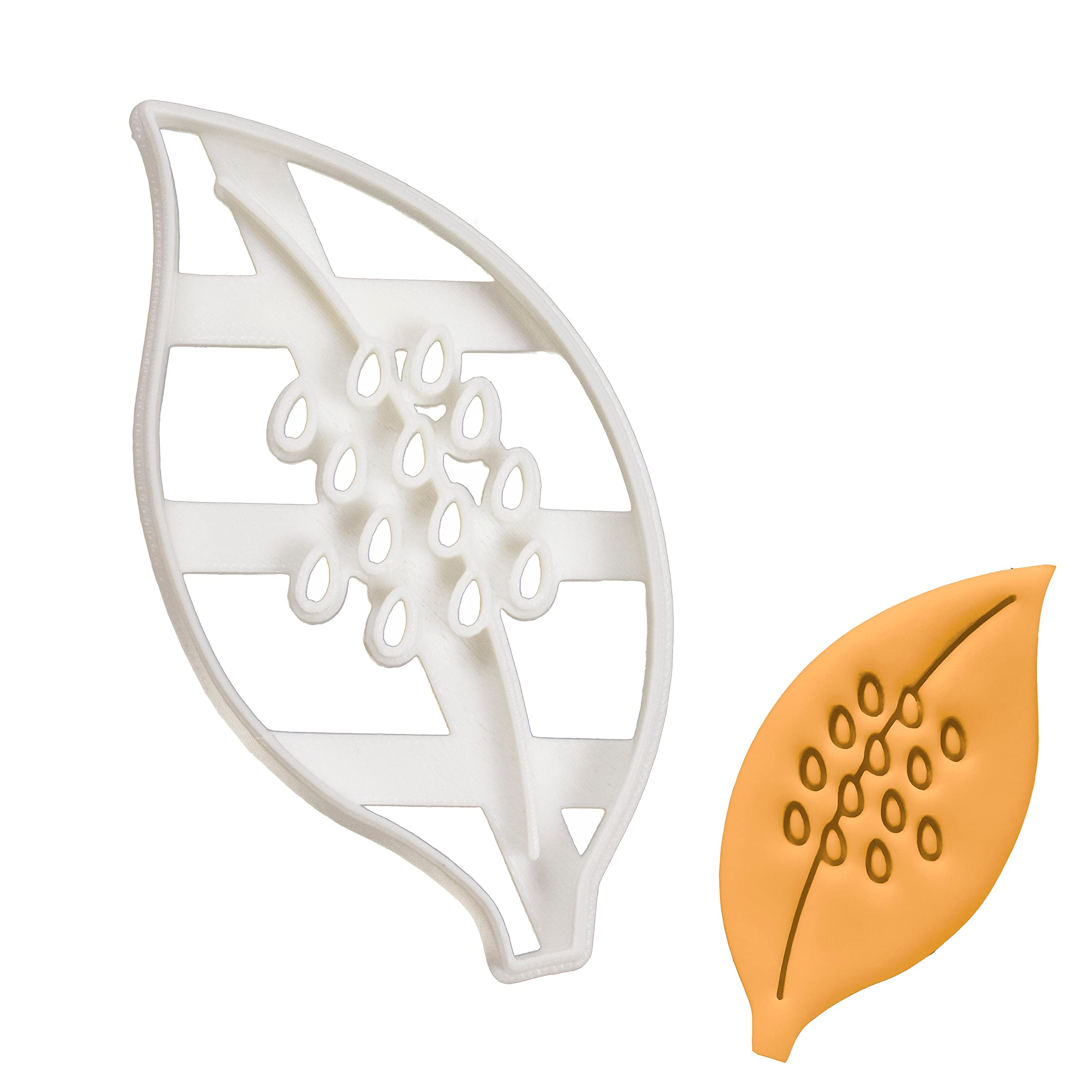 BAKERLOGY Monarch Eggs Cookie Cutter - Detailed Biscuit Cutter Design for Baking and Crafts, Ideal on Fondant, Dough, Clay