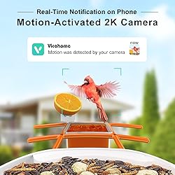 birdsnap® TUC- Bird Feeder with Camera 2K Live