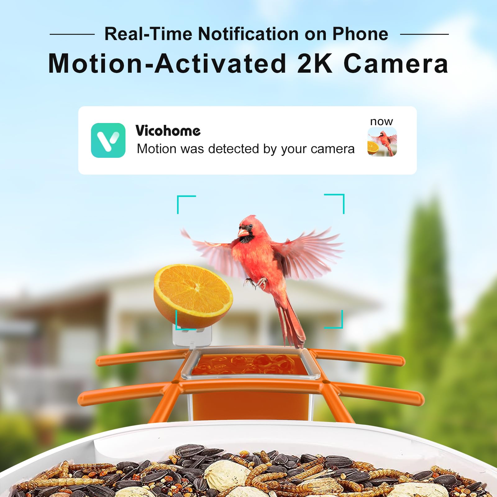 birdsnap® TUC- Bird Feeder with Camera 2K Live