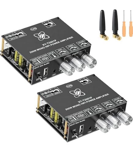 Amazon.com: XY-T2001P Mono Amplifier Board with TWS, 200W Power