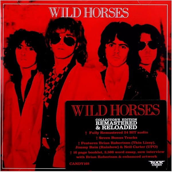 WILD HORSES - Stand Your Ground - Amazon.com Music