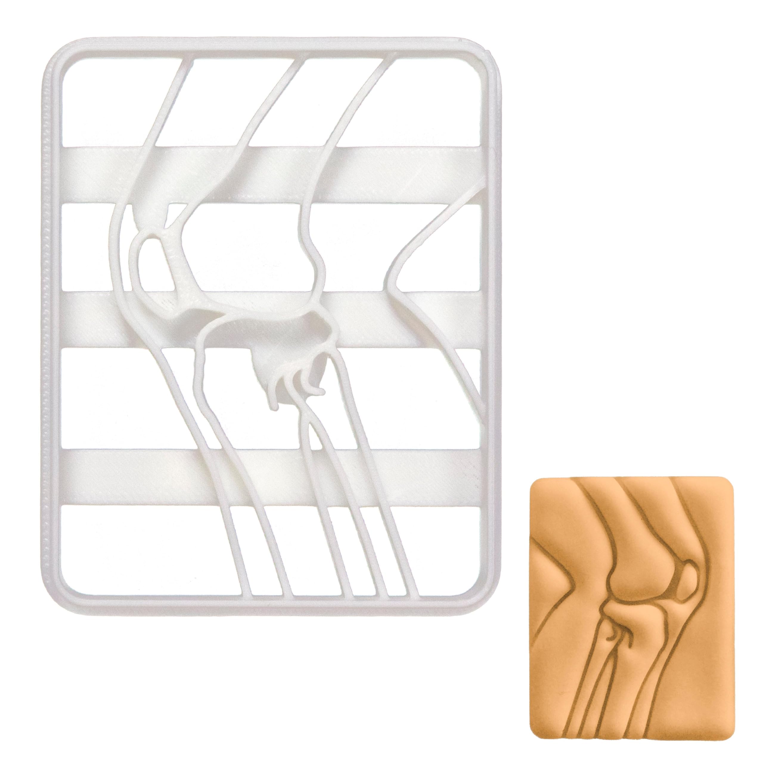 BAKERLOGY Human Knee Bone X-Ray Cookie Cutter - Detailed Biscuit Cutter Design for Baking and Crafts, Ideal on Fondant, Dough, Clay