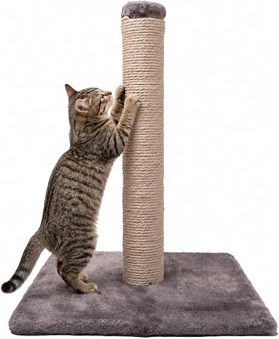 DIVCHI 31 Inch Cat Scratching Post 80 cm Sisal Rope Durable Furniture Guard