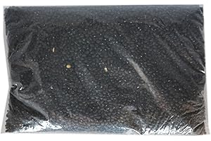 CLASSIC PROVISIONS SPICES Classic Provisions Dried Black Beans, 10 lb Bag – Ethically Sourced Dried Beans – Gluten-Free, All Natural Fiber & Protein Source – Bulk Beans – Use in Refried Beans, Chili – with Less Sodium